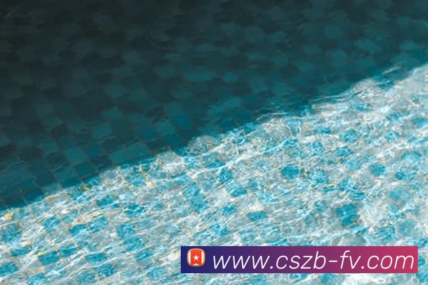 彩神争霸平台生态图