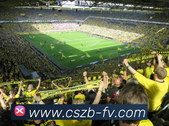 彩神争霸APP 封面图